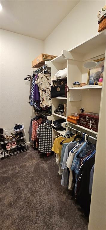 12432 Live Oak Cir, Peculiar, MO 64078 - walk in closet featuring carpet flooring