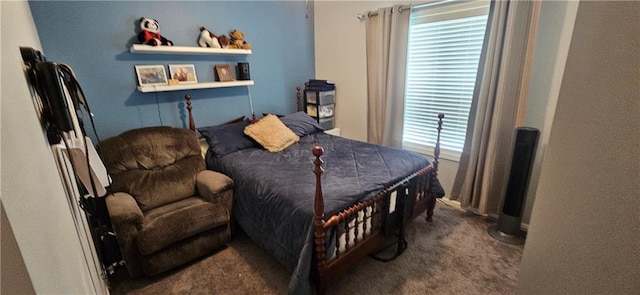 12432 Live Oak Cir, Peculiar, MO 64078 - view of carpeted bedroom