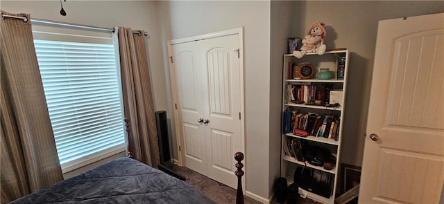 12432 Live Oak Cir, Peculiar, MO 64078 - bedroom featuring carpet