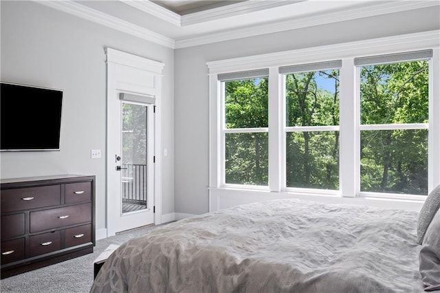 9291 Brownridge St, Lenexa, KS 66220 - bedroom with access to outside, ornamental molding, and carpet