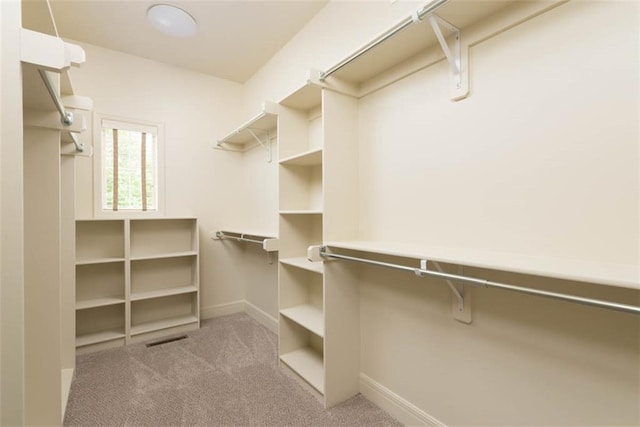 8558 Barstow St, Lenexa, KS 66219 - walk in closet with carpet floors