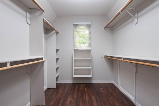 16533 W 80th St, Lenexa, KS 66219 - walk in closet with wood finished floors