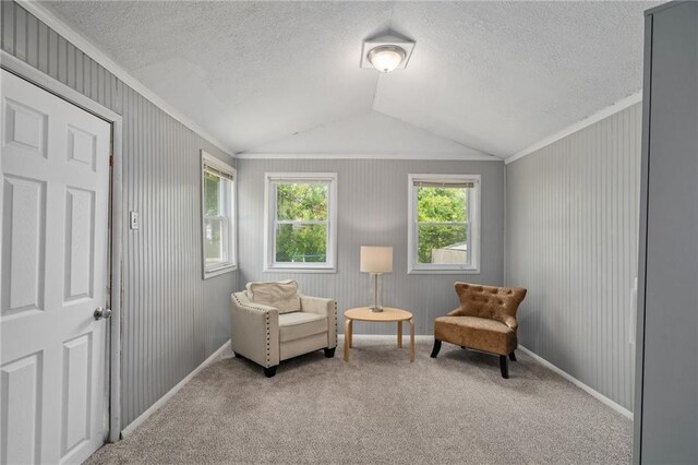 604 NE Ash St NE, Lees Summit, MO 64063 - sitting room with a textured ceiling, vaulted ceiling, carpet floors, crown molding, and baseboards