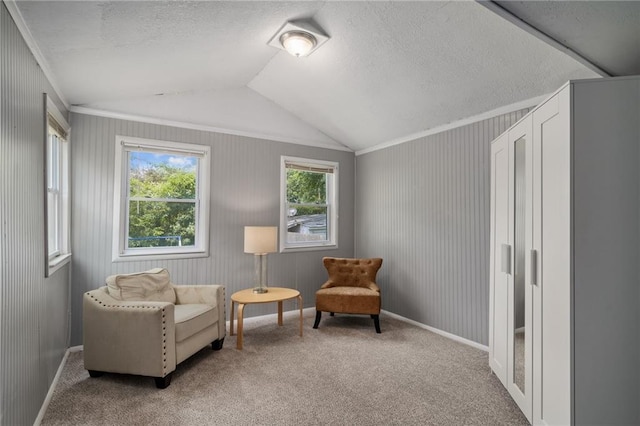 604 NE Ash St NE, Lees Summit, MO 64063 - living area featuring lofted ceiling, a textured ceiling, carpet floors, and baseboards