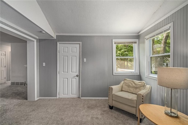 604 NE Ash St NE, Lees Summit, MO 64063 - sitting room with carpet floors, a textured ceiling, and baseboards
