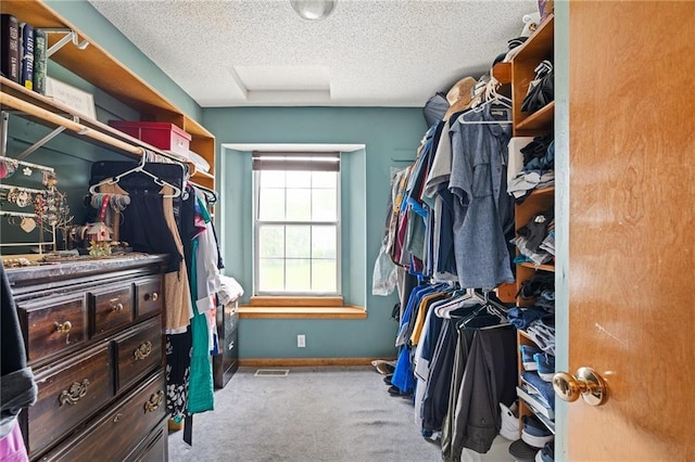 1229 SE Princeton Dr, Lees Summit, MO 64081 - spacious closet featuring attic access and carpet