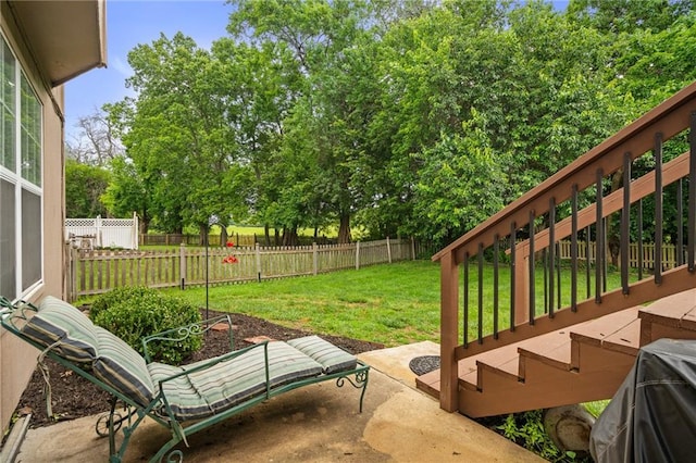 1229 SE Princeton Dr, Lees Summit, MO 64081 - fenced backyard featuring a patio area