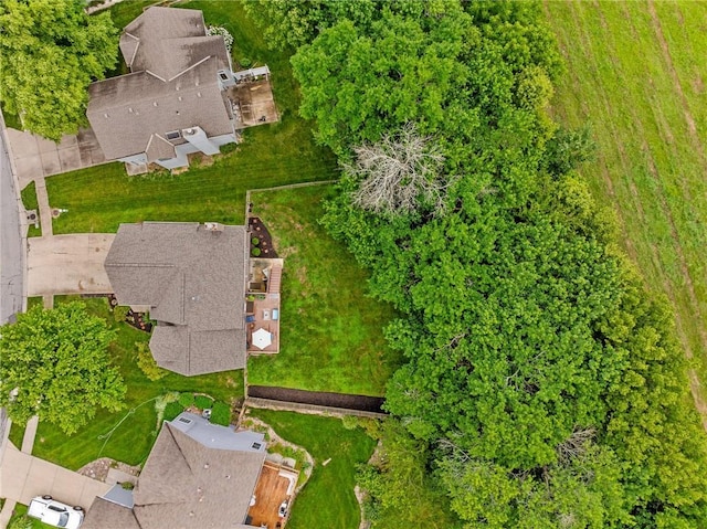 1229 SE Princeton Dr, Lees Summit, MO 64081 - drone / aerial view