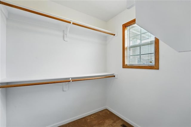 614 SW Tisha Ln, Grain Valley, MO 64029 - walk in closet with dark colored carpet