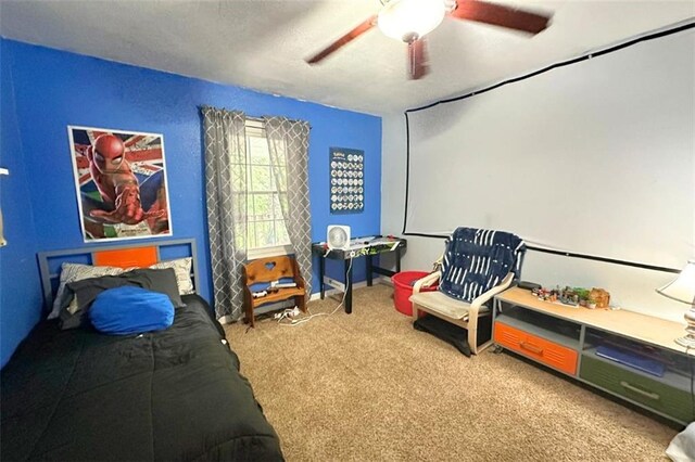227 S Moulton St, Leeton, MO 64761 - photo 27