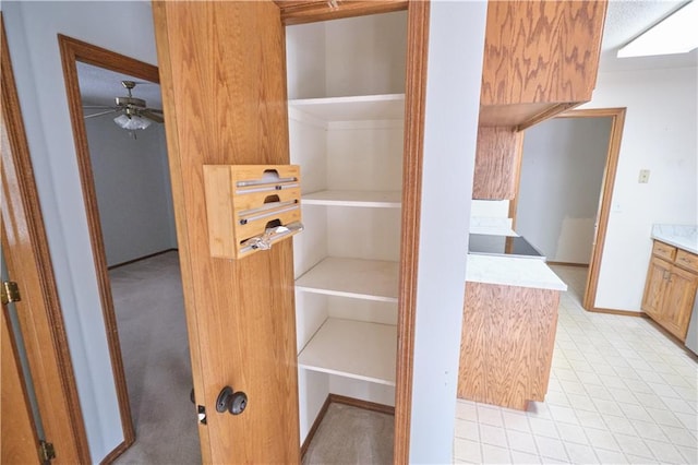 500 Valley View Dr, Frontenac, KS 66763 - view of pantry