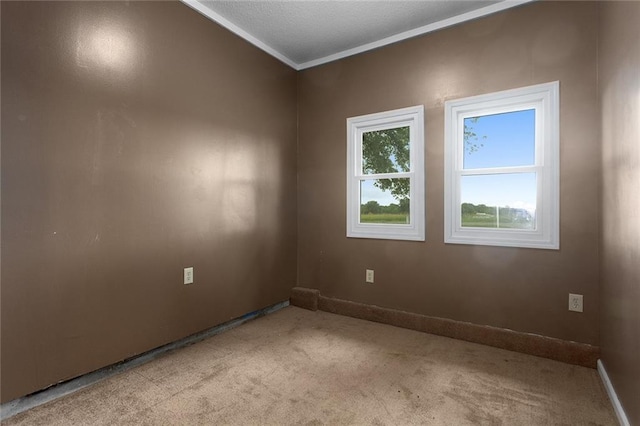 10203 Outer Rd, Odessa, MO 64076 - spare room with light carpet and ornamental molding