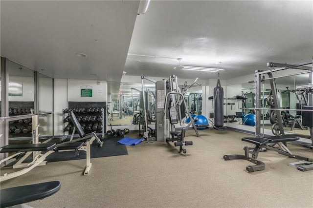 600 E Admiral Blvd Unit 601, Kansas City, MO 64106 - gym with carpet flooring