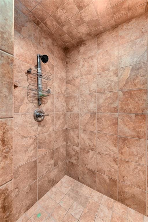 21835 W 175th Ter, Olathe, KS 66062 - bathroom featuring a tile shower