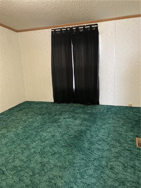 2000 E 19th St Unit 5, Lawrence, KS 66046 - unfurnished room featuring a textured wall, a textured ceiling, carpet flooring, and crown molding