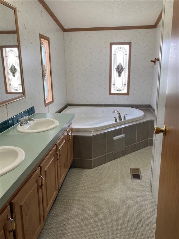 2000 E 19th St Unit 5, Lawrence, KS 66046 - bathroom with ornamental molding, a bath, plenty of natural light, double vanity, and a textured ceiling