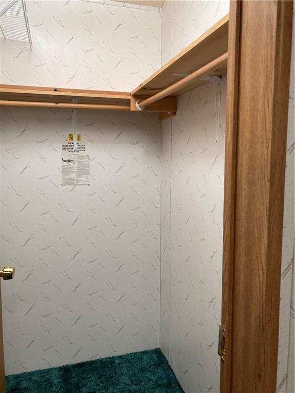2000 E 19th St Unit 5, Lawrence, KS 66046 - walk in closet featuring carpet flooring