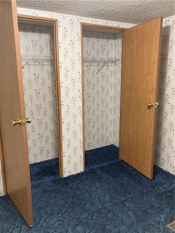 2000 E 19th St Unit 5, Lawrence, KS 66046 - view of closet