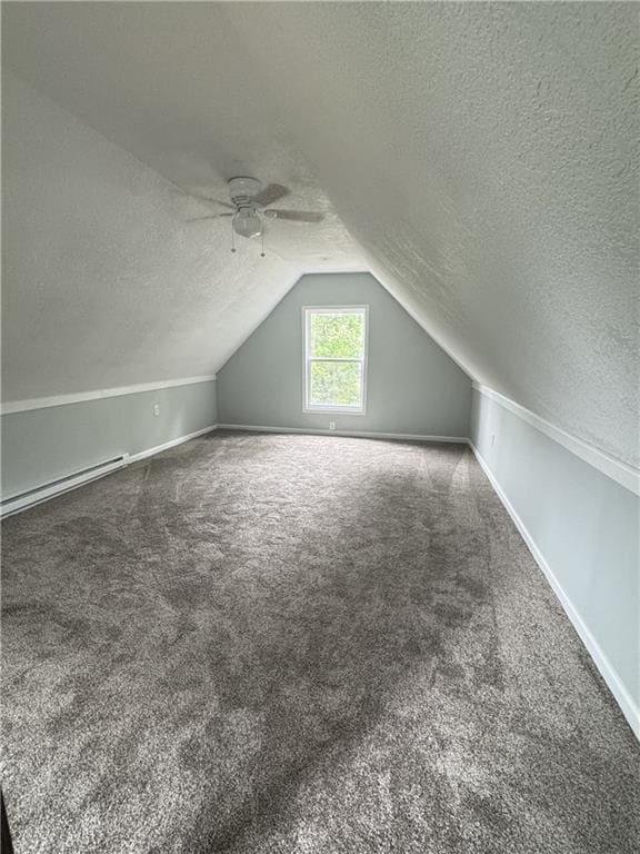 10057 Otter Rd, Clinton, MO 64735 - bonus room featuring a textured ceiling, a ceiling fan, lofted ceiling, carpet floors, and baseboards