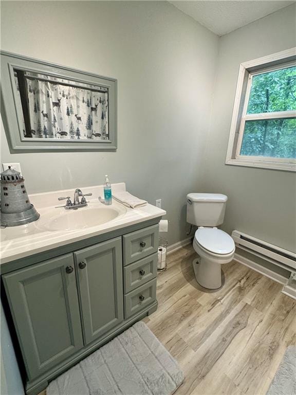 10057 Otter Rd, Clinton, MO 64735 - bathroom with toilet, wood finished floors, vanity, and a baseboard radiator