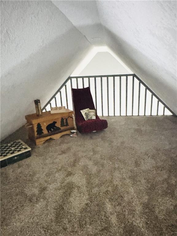 10057 Otter Rd, Clinton, MO 64735 - additional living space with carpet flooring and lofted ceiling