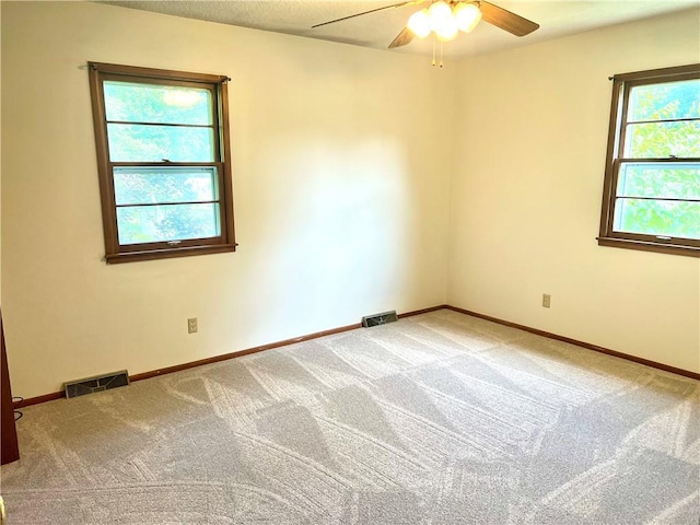 1505 Safari Dr, Saint Joseph, MO 64506 - photo 12
