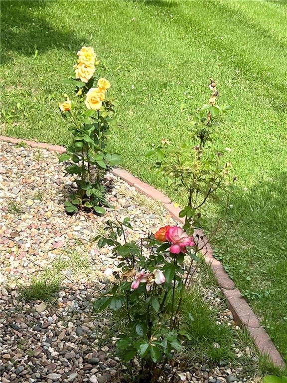 1505 Safari Dr, Saint Joseph, MO 64506 - photo 23