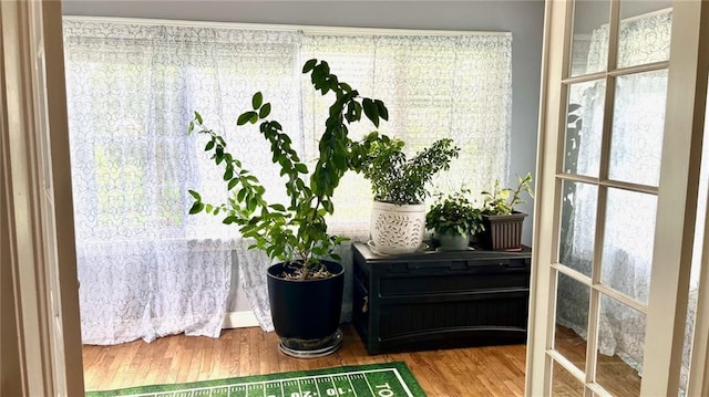 1146 S Willow St, Ottawa, KS 66067 - doorway with wood finished floors and healthy amount of natural light
