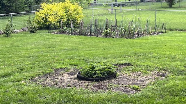1146 S Willow St, Ottawa, KS 66067 - view of yard