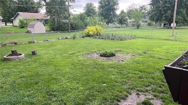 1146 S Willow St, Ottawa, KS 66067 - view of yard