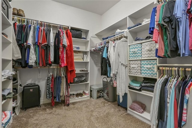 16570 S Ingrid St, Gardner, KS 66030 - walk in closet featuring carpet