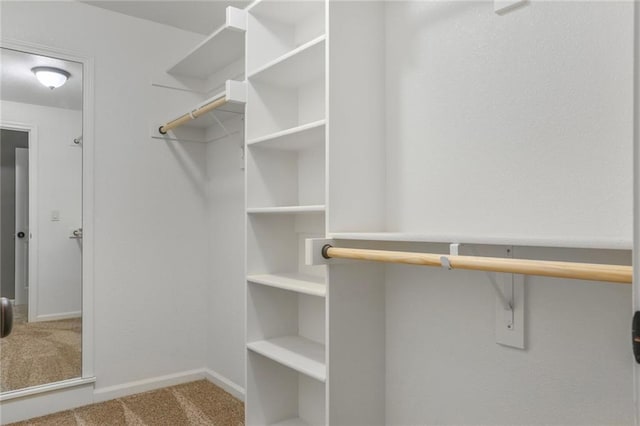 16570 S Ingrid St, Gardner, KS 66030 - spacious closet with carpet