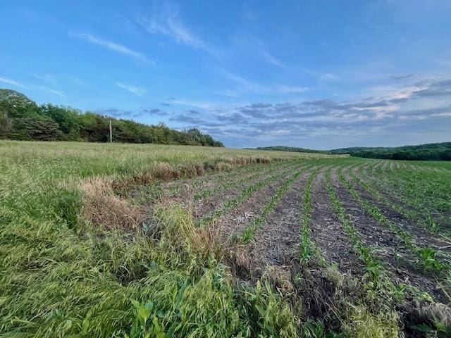 10.01ACRESM/L N 800th Rd, Baldwin City, KS 66006