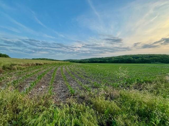10.01ACRESM/L N 800th Rd, Baldwin City, KS 66006
