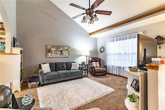 131 NW 171st Rd, Warrensburg, MO 64093 - living room with ceiling fan, carpet, and high vaulted ceiling