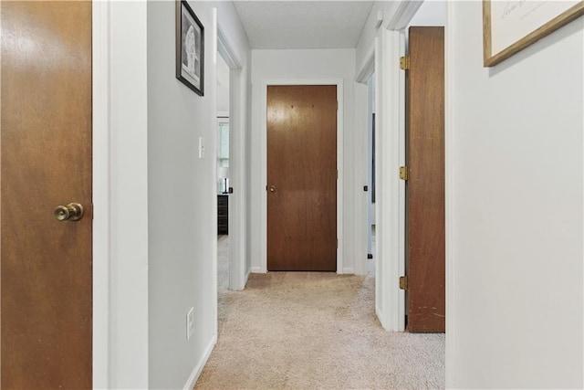 12411 W 100th St, Lenexa, KS 66215 - hall featuring carpet floors and baseboards