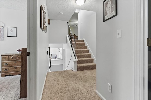 12411 W 100th St, Lenexa, KS 66215 - staircase featuring carpet floors and a textured ceiling