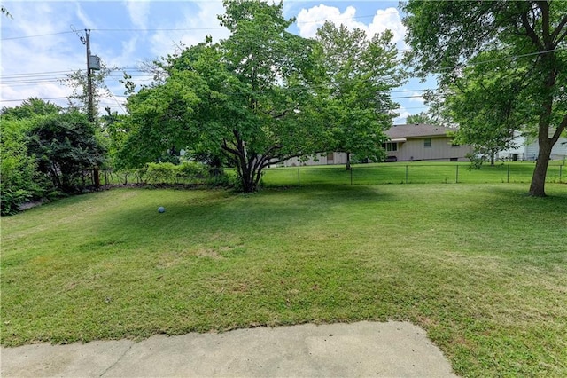 7907 Elm Ave, Raytown, MO 64138 - view of yard