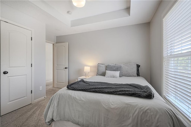 23856 W 124th Ct, Olathe, KS 66061 - bedroom with light colored carpet and a raised ceiling
