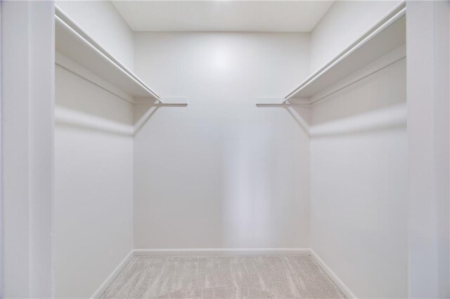 513 Forestglen Ln, Lansing, KS 66043 - walk in closet with carpet
