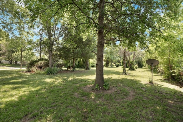 3814 S Outer Belt Rd, Oak Grove, MO 64075 - view of green lawn