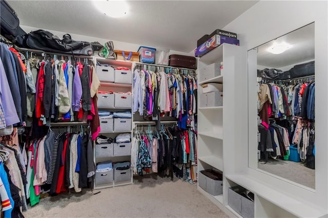 2224 NE 112th St, Kansas City, MO 64155 - photo 25