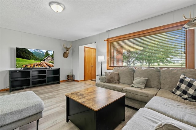 31882 W 180th St, Lawson, MO 64062 - living area featuring light wood finished floors and a textured ceiling