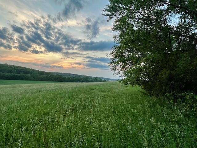10.01ACRESM/L E 1100th Rd, Baldwin City, KS 66006