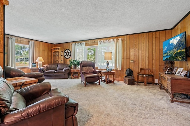 5201 Noland Rd, Kansas City, MO 64133 - carpeted living room featuring wooden walls and a textured ceiling