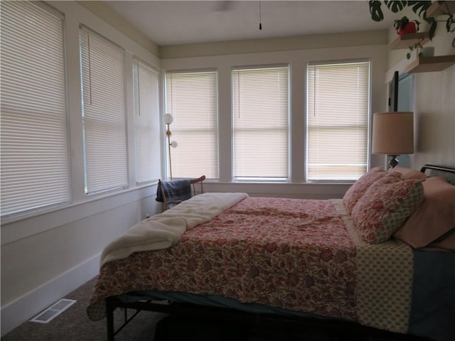 205 W Wea St, Paola, KS 66071 - carpeted bedroom with multiple windows