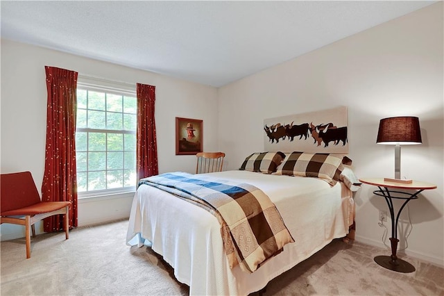 11814 W 149th St, Olathe, KS 66062 - carpeted bedroom featuring multiple windows