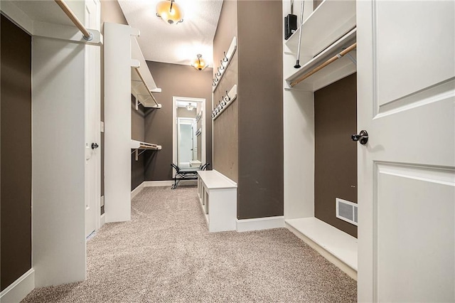 4512 NE Parks Summit Ter, Lees Summit, MO 64064 - spacious closet featuring carpet floors