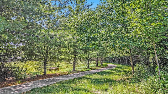 4512 NE Parks Summit Ter, Lees Summit, MO 64064 - view of yard with a forest view