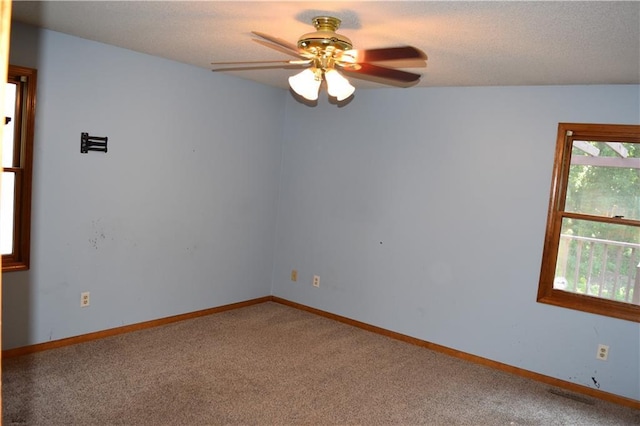 6314 N Bedford Ave, Kansas City, MO 64151 - photo 15